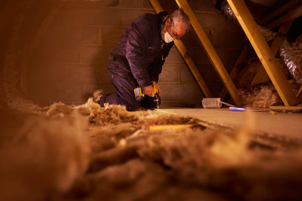 Best Insulation Maintenance and Repair in Horse Pasture, VA